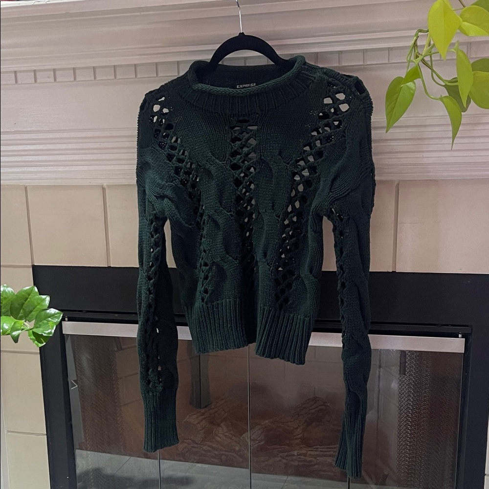 Express Forest Green Open Knit Sweater